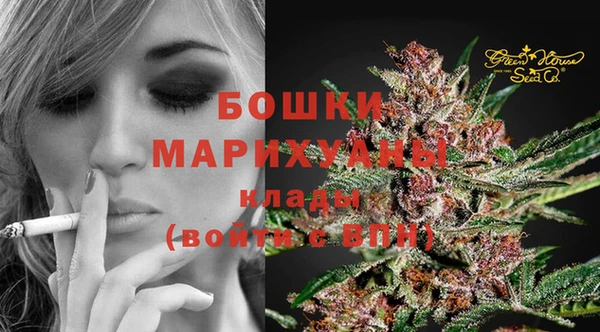 гашик Балахна