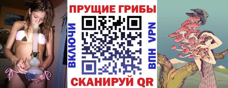 Галлюциногенные грибы MAGIC MUSHROOMS  Саратов 